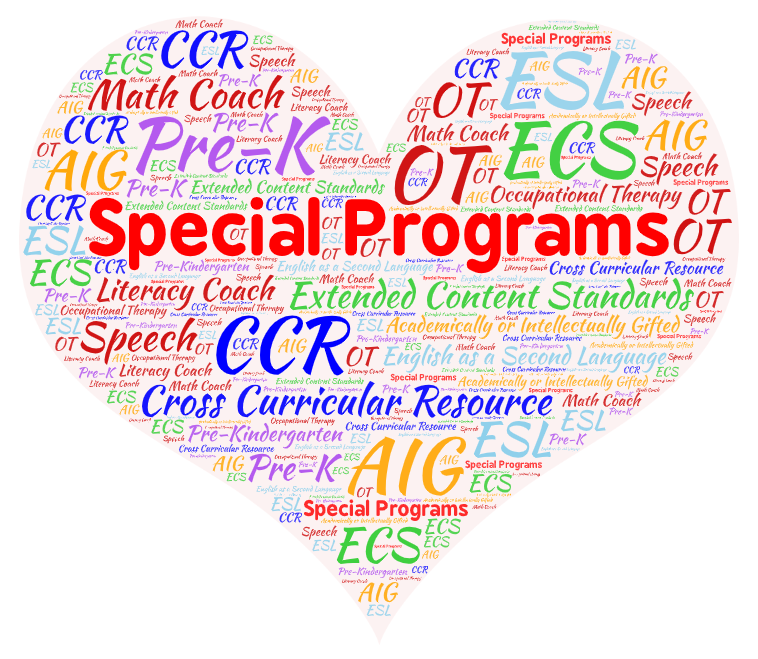 Special Program Teachers